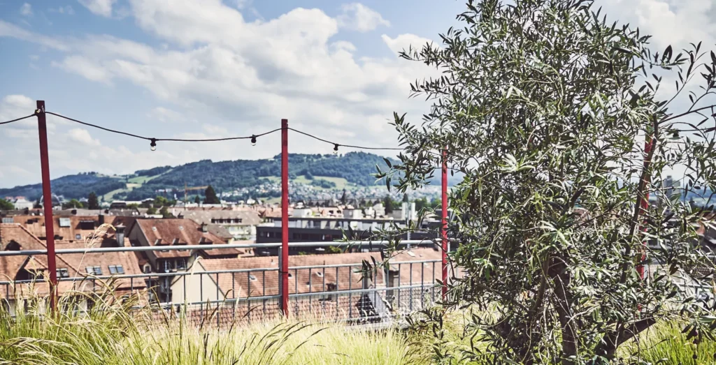 Aufnahme von einer Dachterrasse im Sommer mit einer Lichterkette.