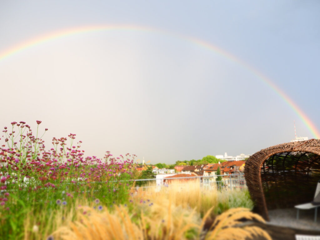 Dachterasse im Grünen mit einem Regenbogen im Himmel. 