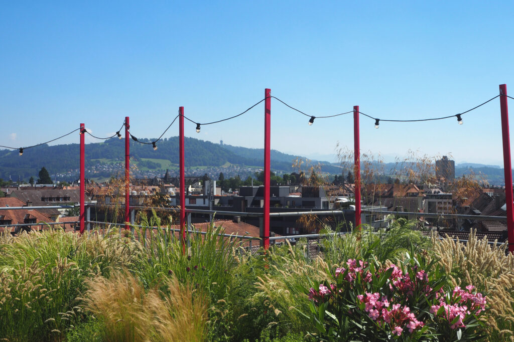 Grüne Dachterrasse an einem schönen Sommertag mit Blumen und Pflanzen im Vordergrund.